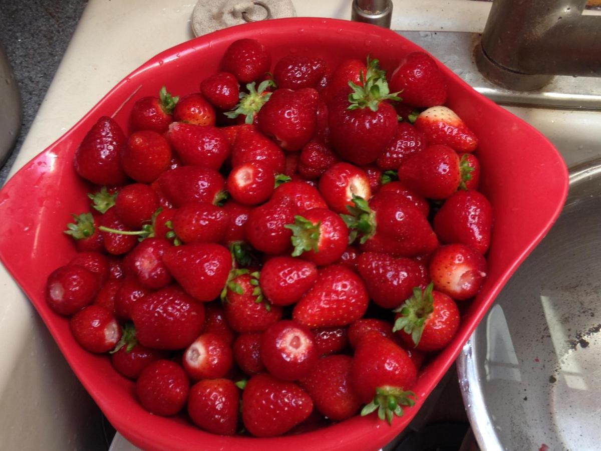 فندق Nettles Farm Lummi Island المظهر الخارجي الصورة