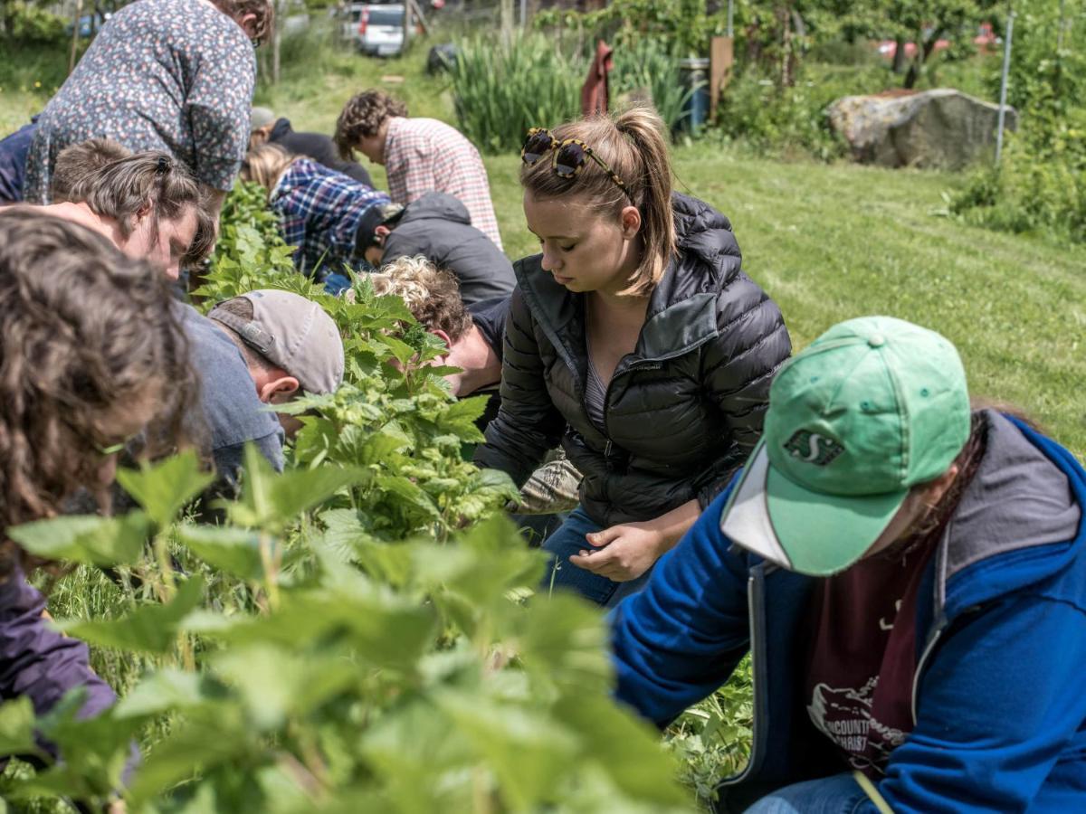 فندق Nettles Farm Lummi Island المظهر الخارجي الصورة
