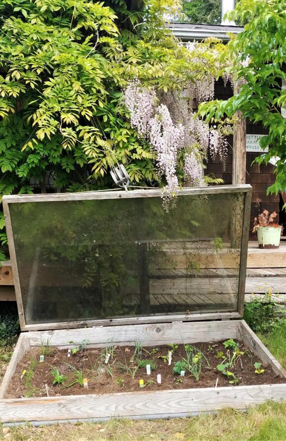 فندق Nettles Farm Lummi Island المظهر الخارجي الصورة
